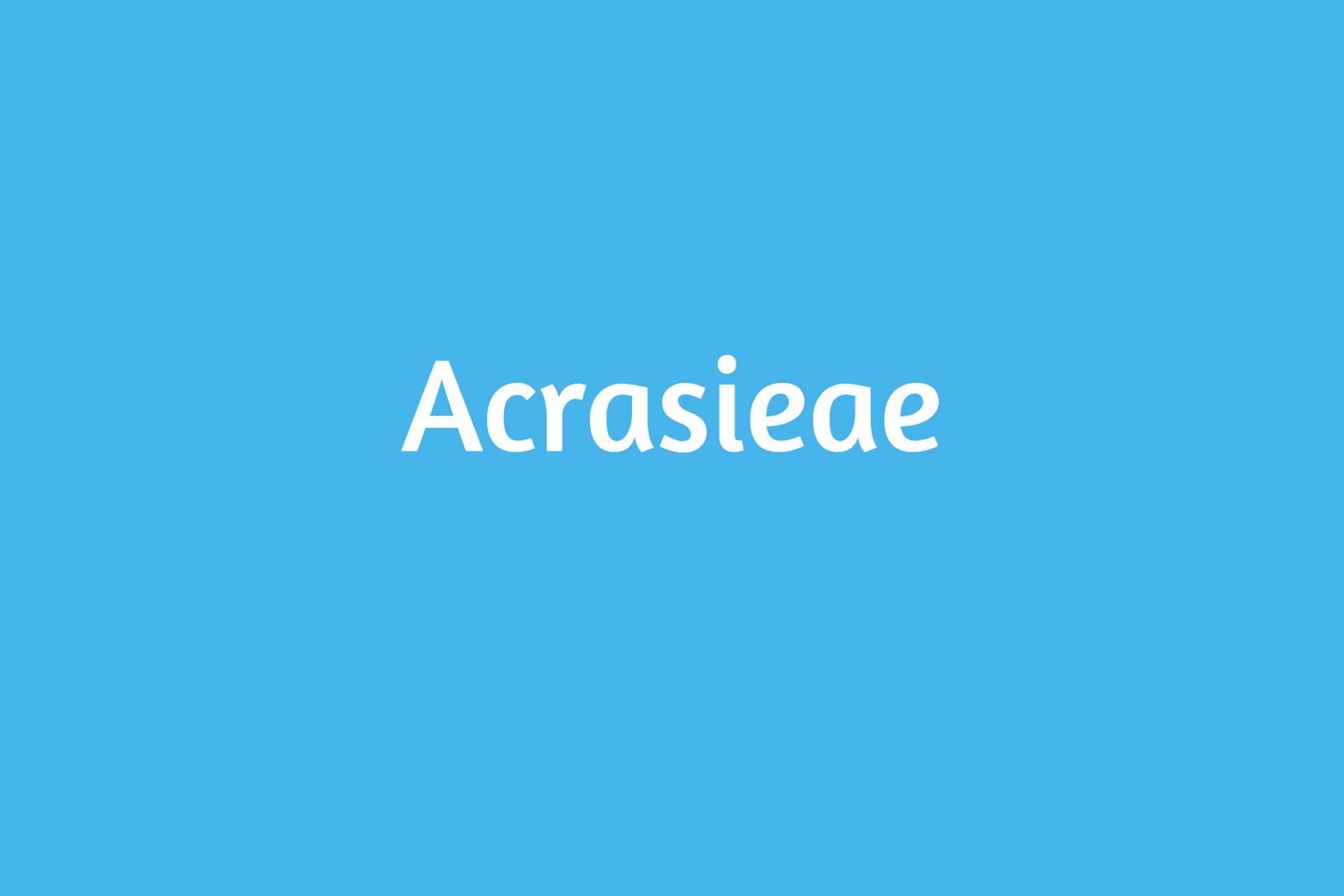 Acrasieae